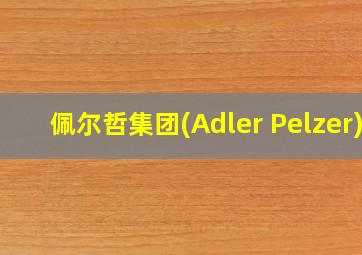 佩尔哲集团(Adler Pelzer)